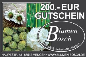 Titelbild Angebot 960